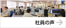 社員の声